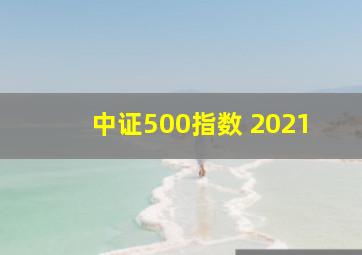 中证500指数 2021